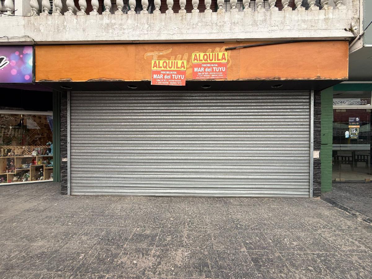Locales Comerciales