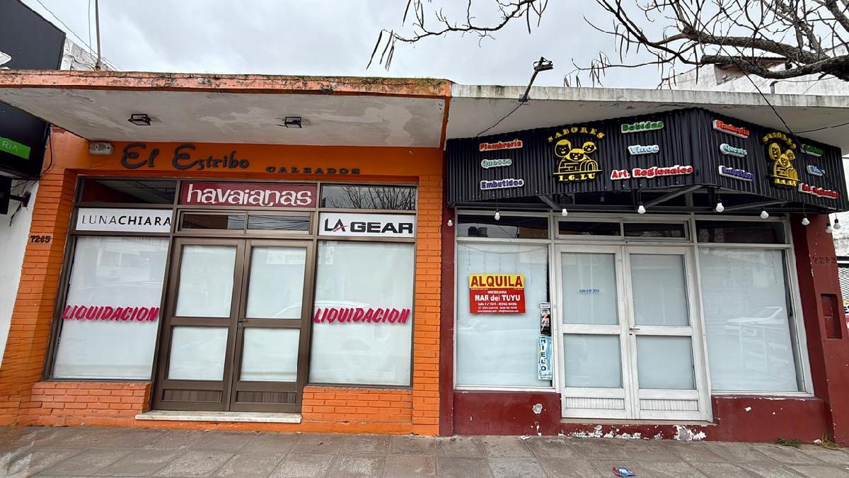 Locales Comerciales