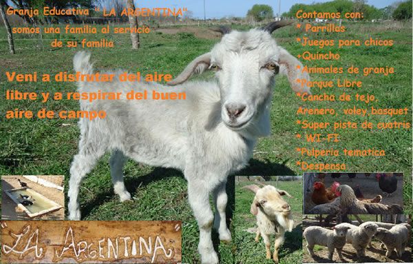 Granja educativa: La Argentina